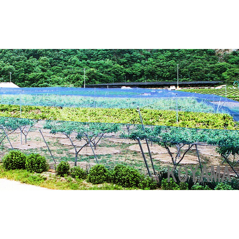 【3本】国産防鳥網18m×45m250坪20mm目合400デニールオレンジ防鳥ネット小商【代引不可】