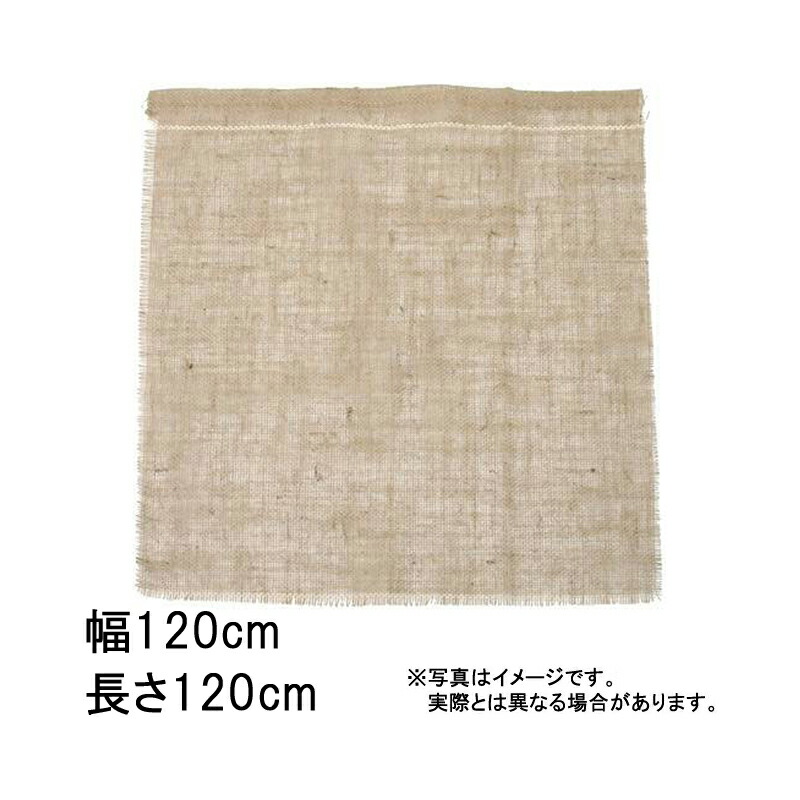100枚 緑であること居敷き 四角い 120 120cm×120糎 早S 代引不可 ガーデニング・農業-農業資材