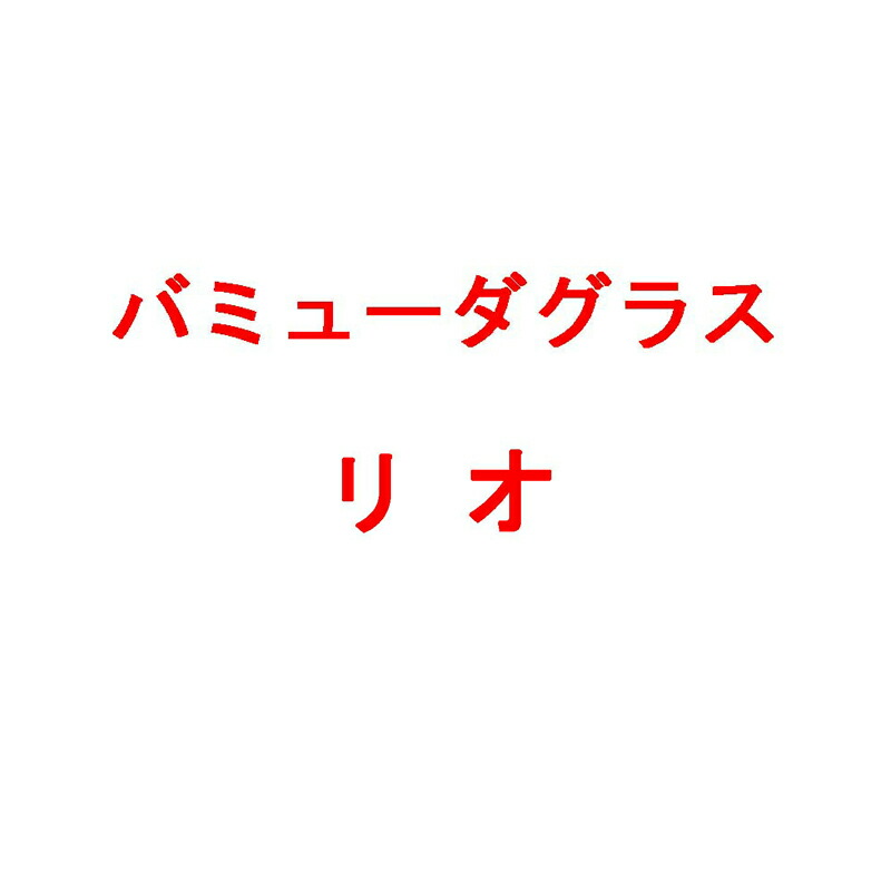 種 20kg バミューダ水のみ リオ 厚地の外套内果皮 雪印種苗 米S 代引不可 (書きとどめる変種名:ペンサコラ)