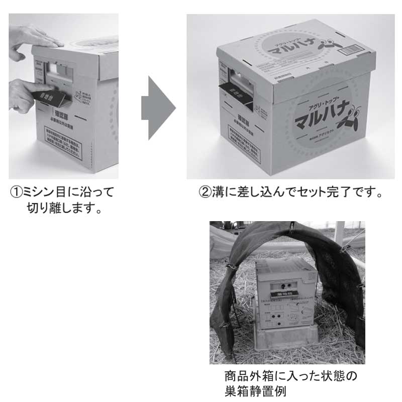 市場 北海道不可 巣箱セット 50頭以上 要着日指定 時間指定不可 ハチ 花粉 アグリ 蜜 受粉用蜂