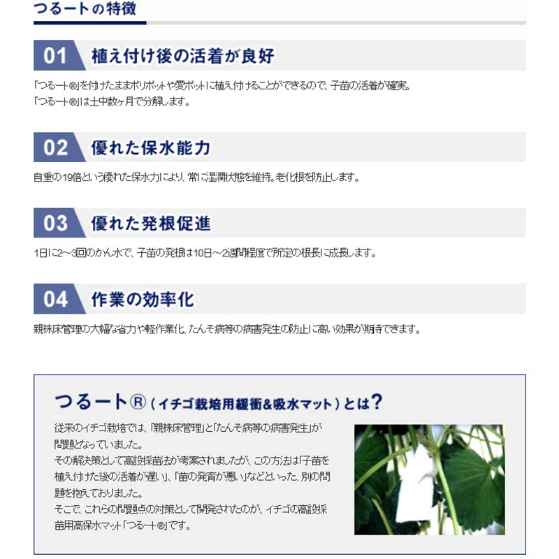 つるーと Nwf300 2cm 8cm 個入 いちご 高設 栽培用 高 保水性 マット 苺 イチゴ ベル開発 カ施 北海道 沖縄 離島配送不可 代引不可 Alternativesolutionsusa Net