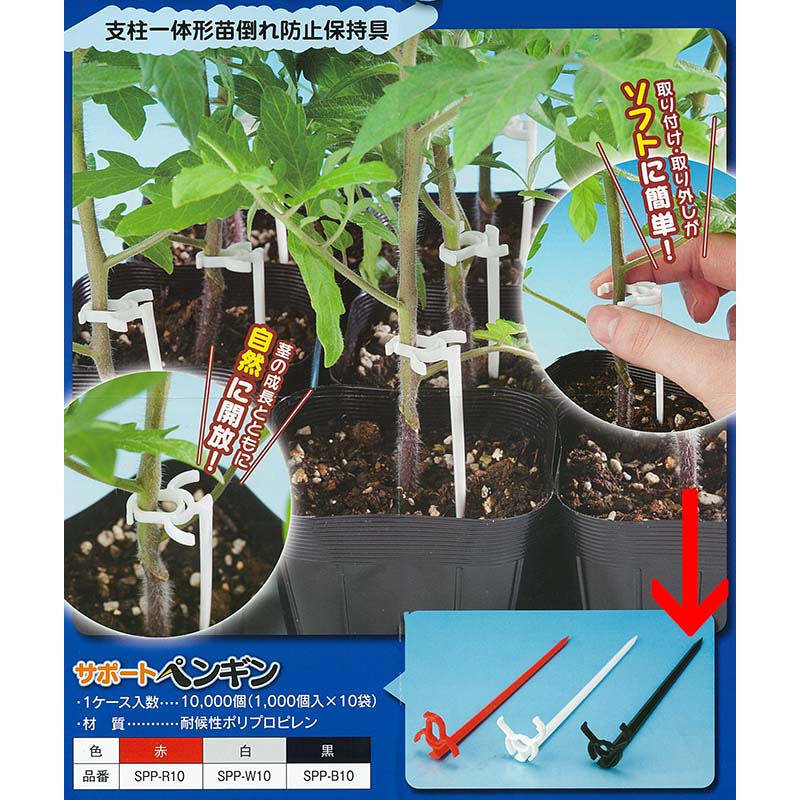 ドワーフナムワ　苗2本 生産資材】接木用資材 サポートロング30cm（ナス・トマト