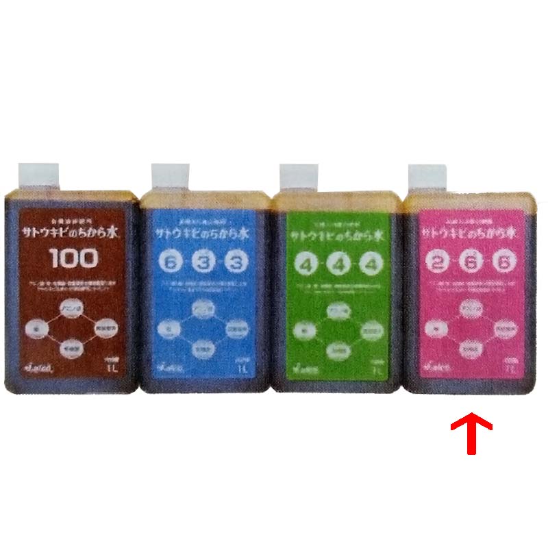 12個 サトウキビのちから水 2 6 6 1l 有機入り複合肥料 野菜 果物 芝生 日本アルコール産業 タ種 送料無料 代引不可 収量増加 果実肥大 食味向上に アスパラギン酸 2 5 My Gardenparty Com