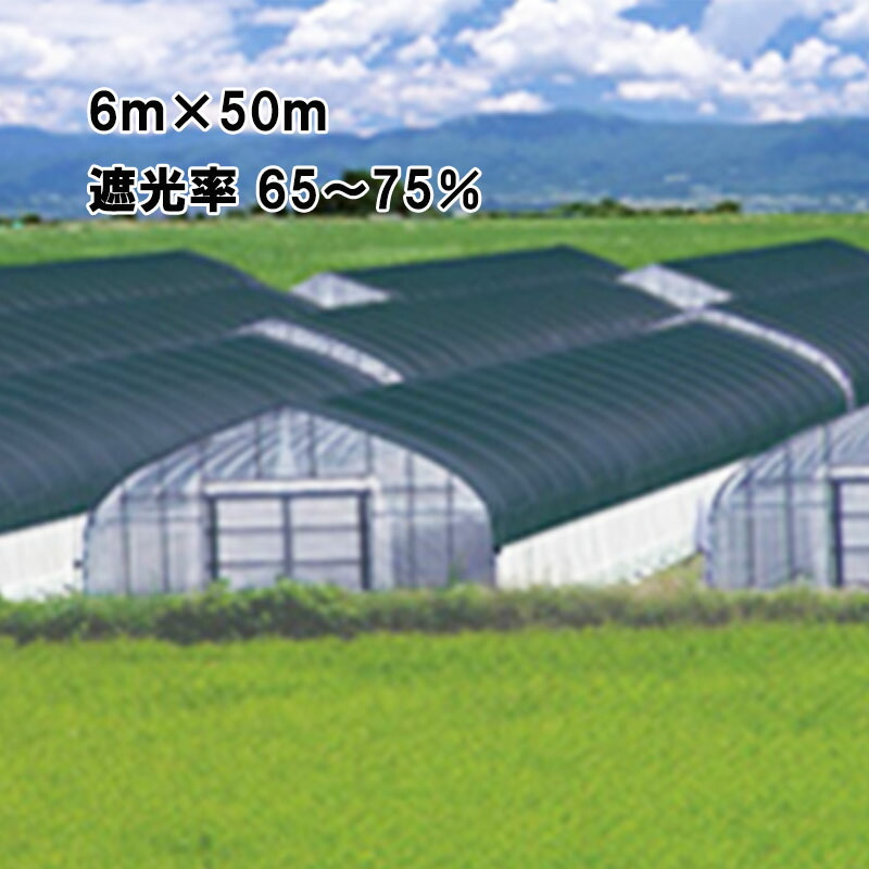 6m×50m 黒 遮光率65～75％ ワイドスクリーン 遮光ネット BK1010 寒冷紗 日本ワイドクロス タS 個人宅配送不可 代引不可