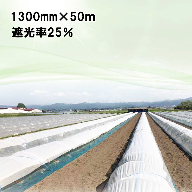公式 ダイオ化成 遮光ネット カーテン 白 遮光率55% 2×2m