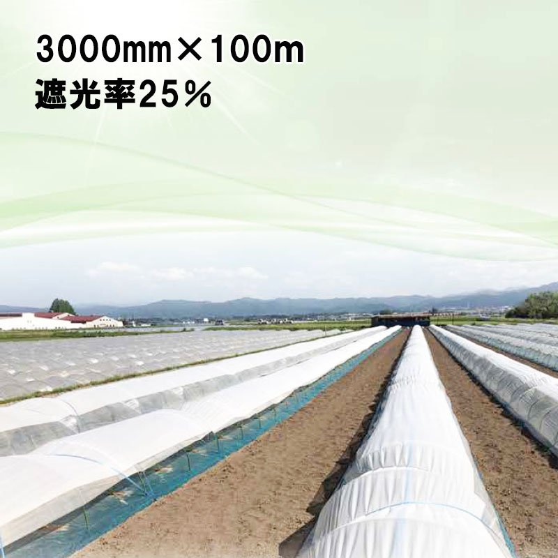 3000mm×100m 白 遮光率25％ ラウンドクール 遮光ネット 寒冷紗 JX ANCI タS 代引不可