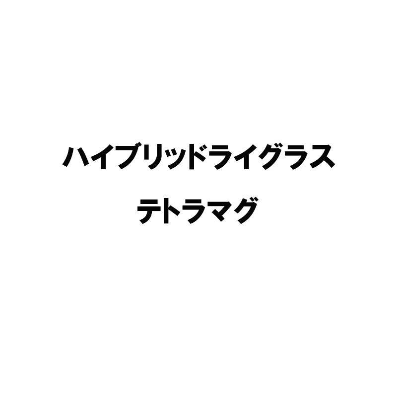 種 20kg ハイブリッドライグラス テトラマグ 雪印種苗 米S 代引不可 (登録品種名:テトラマグ)｜プラスワイズ業者用専門店
