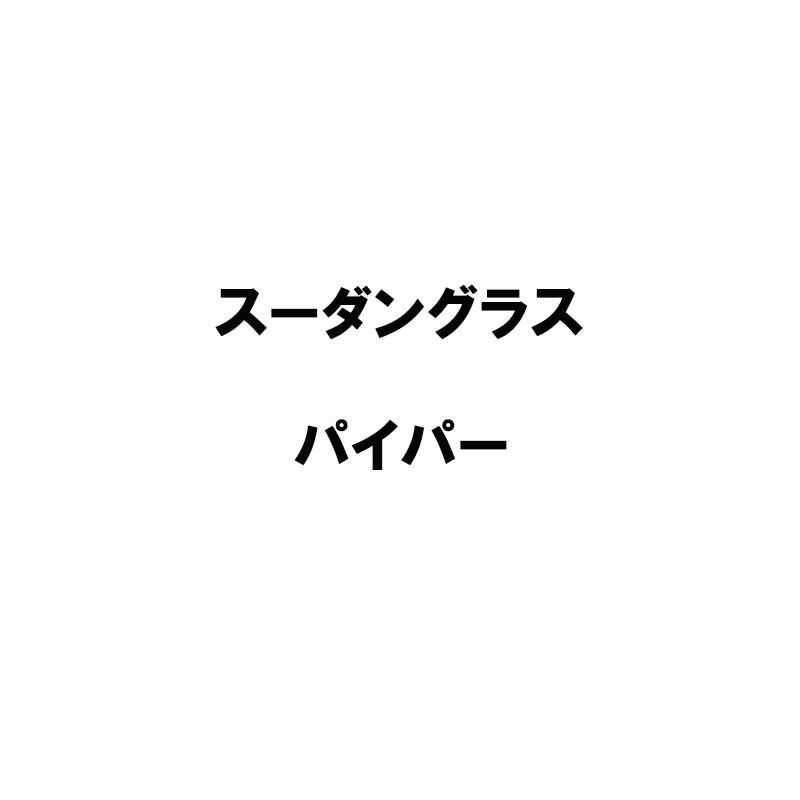 種 20kg スーダン共和国水飲み パイパー 雪印種苗 米S 代引不可 (書きとどめる亜種名:パイパー) ガーデニング・農業-種子-花・ガーデン・DIY