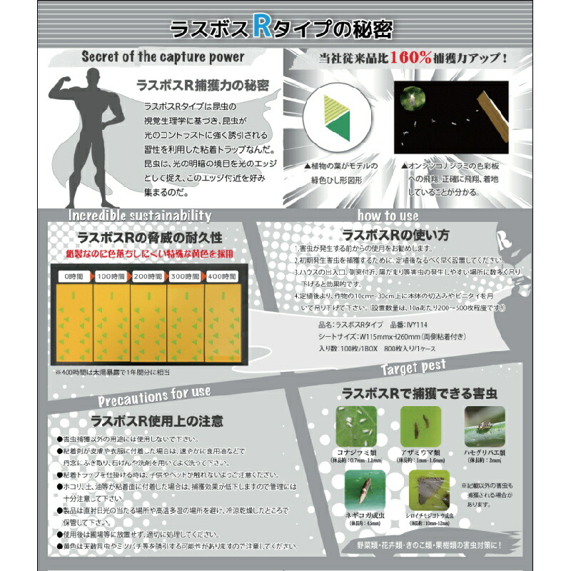 800枚 糊着礼式捕虫板子 ラスボスrタイプライター 取抑えるパワー引き上げ 風変り齎らす居物 特殊粘着剤 115mm 260mm アザミウタ コナジラミ手合い 位 サt 代引不可 Maxani Nl