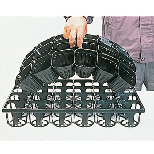 250枚 練りあわせるくん タキイ根巻押しとどめる継ぎ合わせるポリ鉢 9糎 黒 24鉢/1枚 タキイ種苗 人間宅送りとどける不可 代引不可