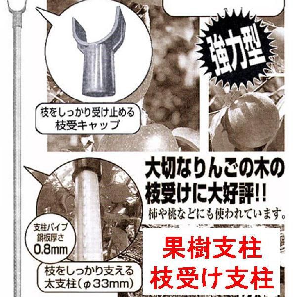 20本 枝受け支柱 シN シンセイ 個人宅配送不可 果樹支柱 直径33×1800mm 直送 売り出し 果樹支柱