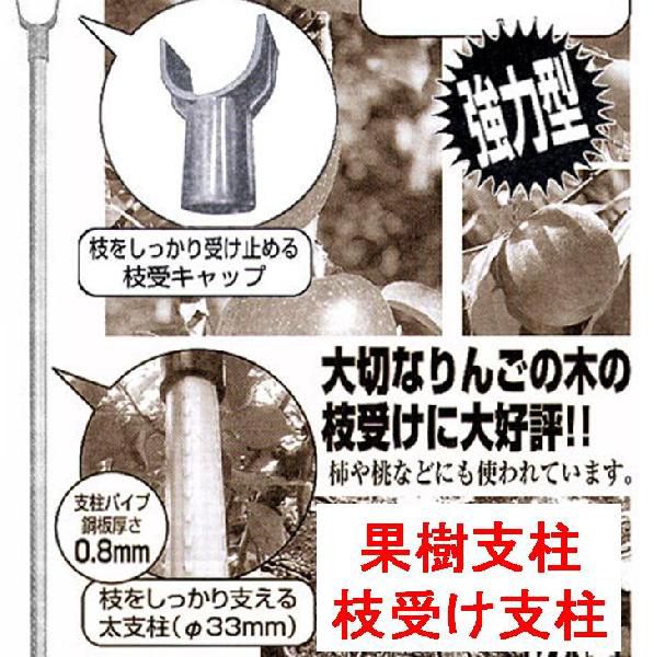 20本 枝受け支柱 果樹支柱 直径33×1500mm シンセイ シN 個人宅配送不可 直送