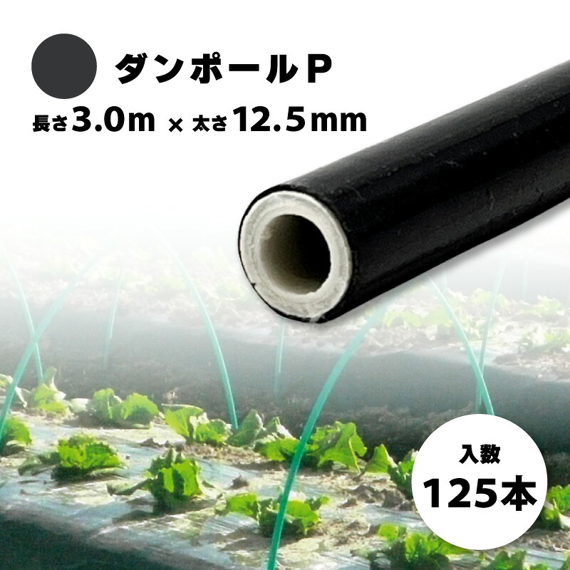 125本 ダンポールP マル125 黒 長さ 3.0m &times; 太さ 12.5mm 農業資材 農業用 トンネル支柱 園芸 畑作 畑 野菜 野菜栽培 宇部エクシモ タS 個人宅配送不可 代引不可｜プラスワイズ業者用専門店