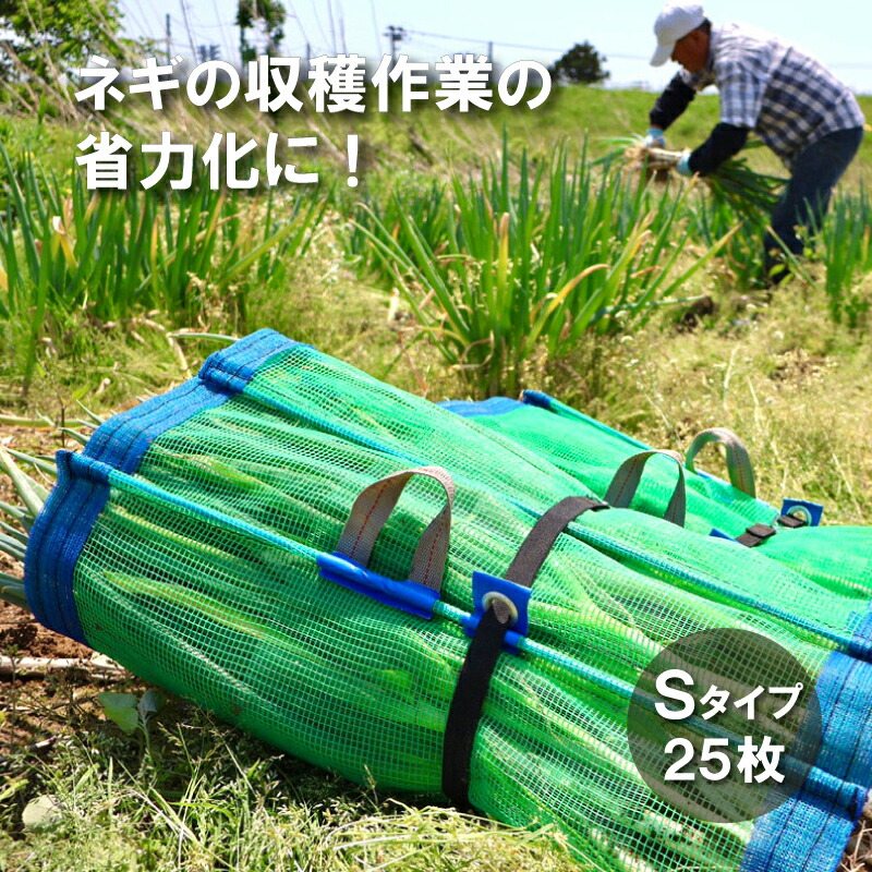 ねぎまき 楽天市場】25枚 ネギマキネット Lタイプ 60×125cm ネギ 枝豆 花