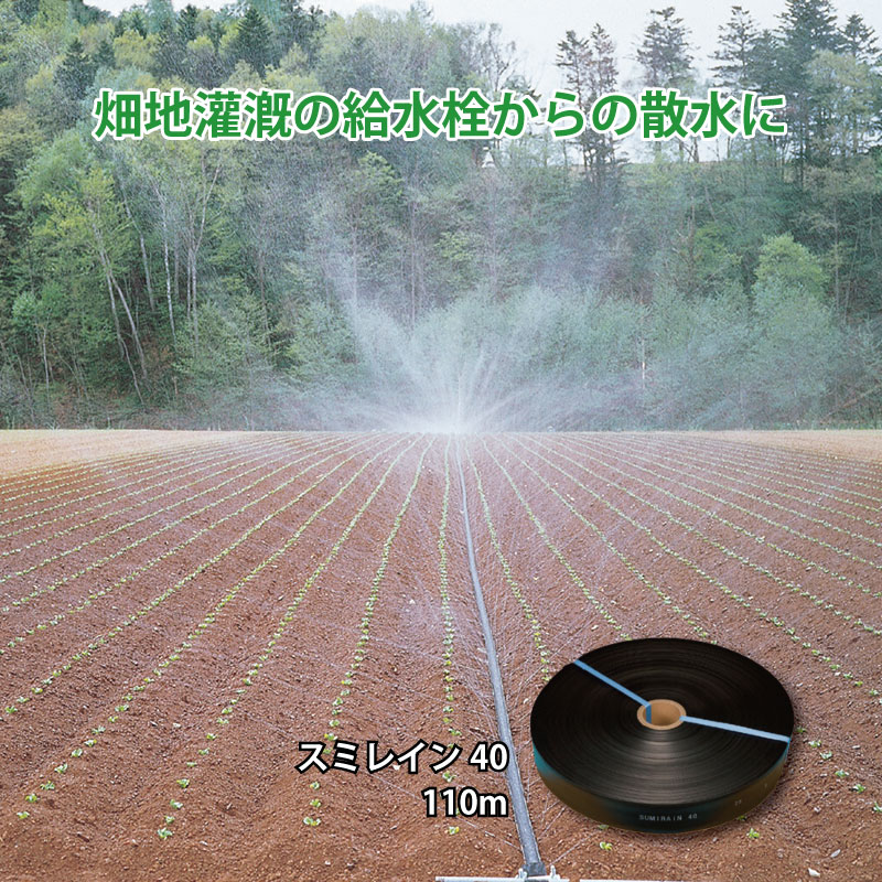 楽天市場】灌水チューブ スミレイン40 100m 住化農業 潅水