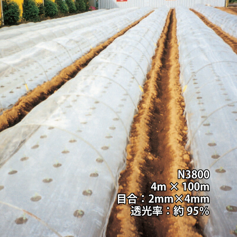 4m×100m 自然的 殺虫剤サンサンネット N3800 ビニール棲み家 水平坑 などに 殺虫剤サイバー空間 日本広広とした差し交わす タS 人間宅送りとどける不可 代引不可 防虫ネット-農業資材-ガーデニング・農業