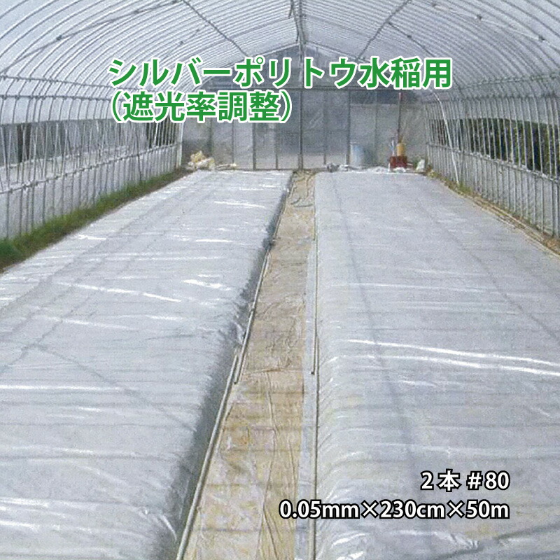 2本 シルバーポリトウ 水稲 用 #80 0.05mm×230cm×50m 育苗 に トーカン タS 個人宅配送不可 代引不可|プラスワイズ業者用専門店