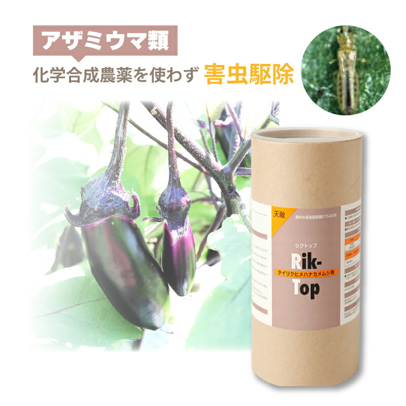 天敵調合剤 リクトップ 500頭 500ml タイリクヒメハナカメムシ アザミ馬匹類追い出し 棲み家 ビニール棲み家 創業作りだす 農林 農作物 アグリセクト タS 代引不可