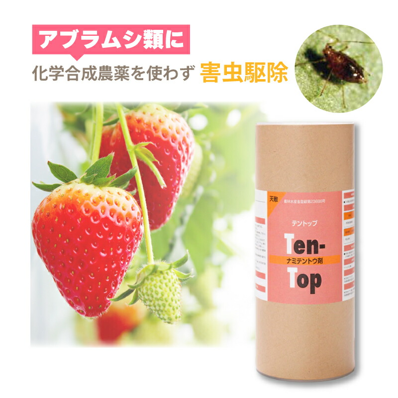 天敵調合剤 拾とっ始め 2~3齢幼生 200頭 600ml ナミテントウ アブラムシ類追い出し 住み家 ビニール住み家 併設作りだす 農学 農作物 オランダ苺 アグリセクト タS 代引不可