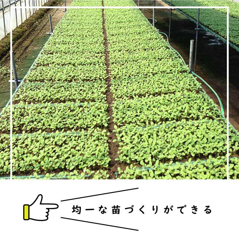 展開板 CP300A (大) ニッテン チェーンポット 播種器具 培土入れ 日本甜菜製糖 個人宅配送不可 代引不可 農業資材 