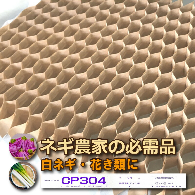 cp304_1.jpg