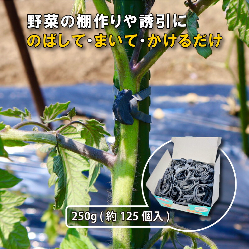 楽天市場】10本 いちご玉受けネット N400 40cm×100m 高設栽培 葉よけ 茎折れ解消 風害 保護 サT 個人宅配送不可 代引不可 :  プラスワイズ業者用専門店