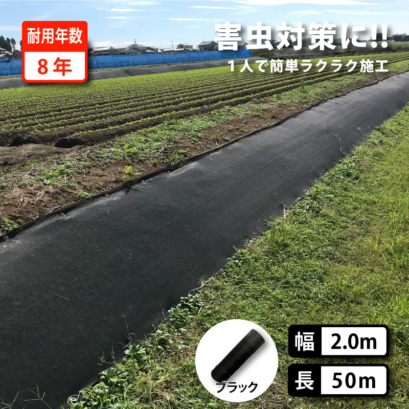 雑草抑制 おまかせネット ブラック 幅2m×50m巻 耐用年数 8年 雑草 草 植物 害虫 対策 抑制 雑草対策 害虫対策 軽減 法面 畦畔 崩壊なし シート より 簡単 施工 おまかせねっと ネット 黒 大一工業 北海道不可 代引不可|プラスワイズ業者用専門店