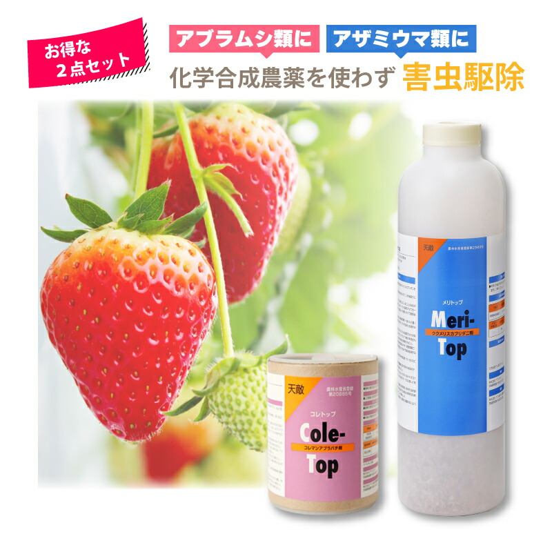 お得な2点書き割り 天敵調合剤 コレトップ 250頭 100ml \u0026 メリトップ 50000頭 900ml 害虫追い出し 住み家 ビニール住み家 併設作りだす 農学 アグリセクト タS 代引不可