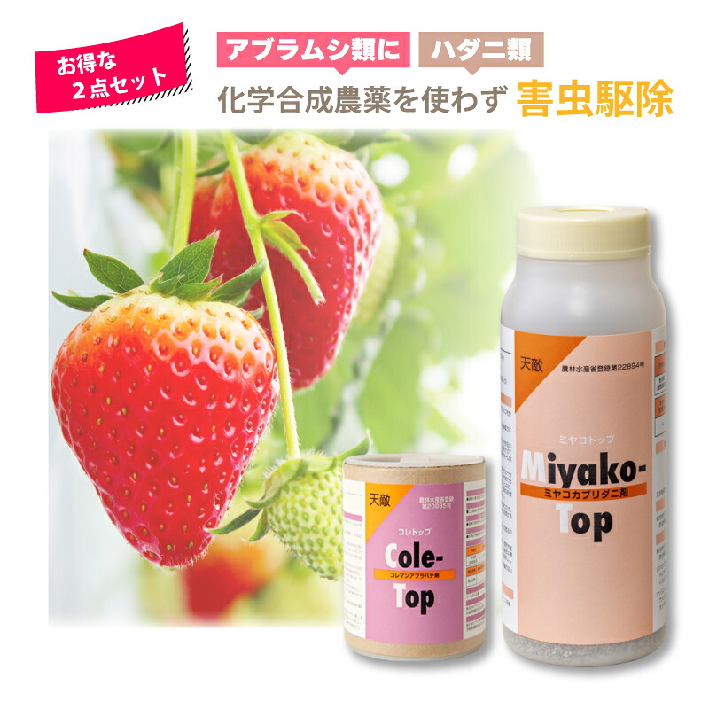 お得な2点セット 天敵製剤 コレトップ 250頭 100ml & ミヤコトップ 2000頭 250ml 害虫駆除 ハウス ビニールハウス 施設栽培 アグリセクト タS 代引不可