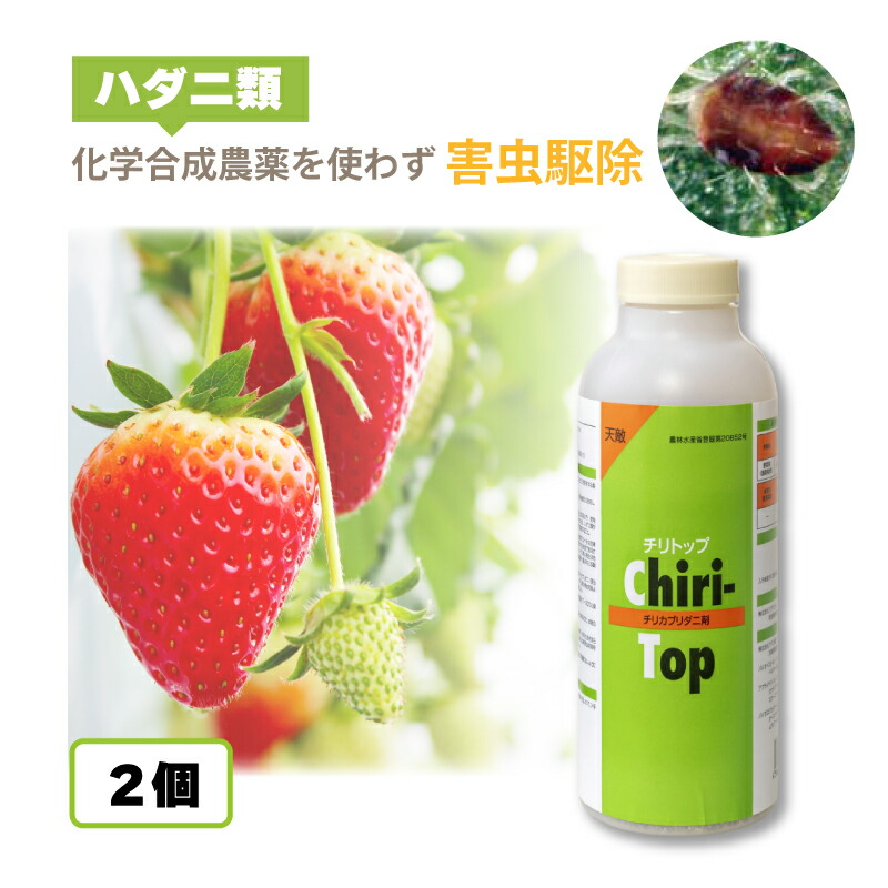 2個 天敵製剤 チリトップ 2000頭 500ml チリカブリダニ ハダニ類駆除 ハウス ビニールハウス 施設栽培 イチゴ 野菜 農業 農作物 アグリセクト タS 代引不可