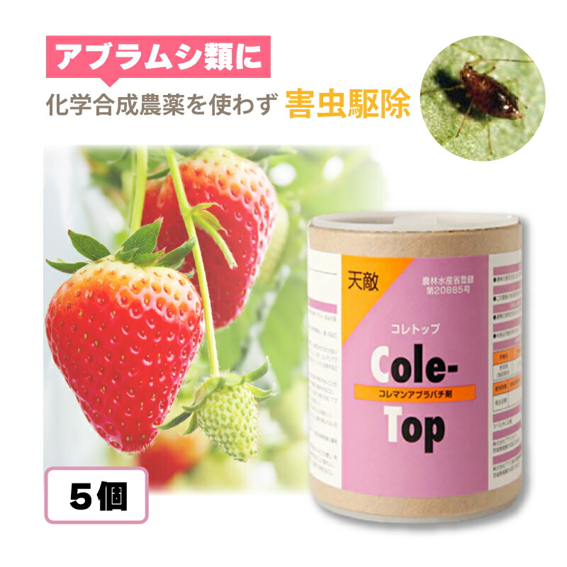 5個 天敵調合剤 コレトップ 250頭 100ml コレマンアブラバチ アブラムシ類追い出し 棲み家 ビニール棲み家 創業作りだす 草片 農林 農作物 アグリセクト タS 代引不可