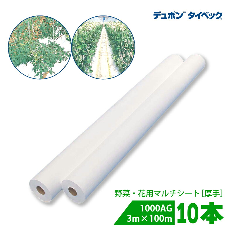 10本 タイベック マルチ 1000AG (厚手) 3m×100m 白 農業用 野菜 フルーツ 花卉 遮熱性 通気性 透湿性 アザミウマ対策 農業資材 カ施 個人宅配送不可 代引不可 414,157円