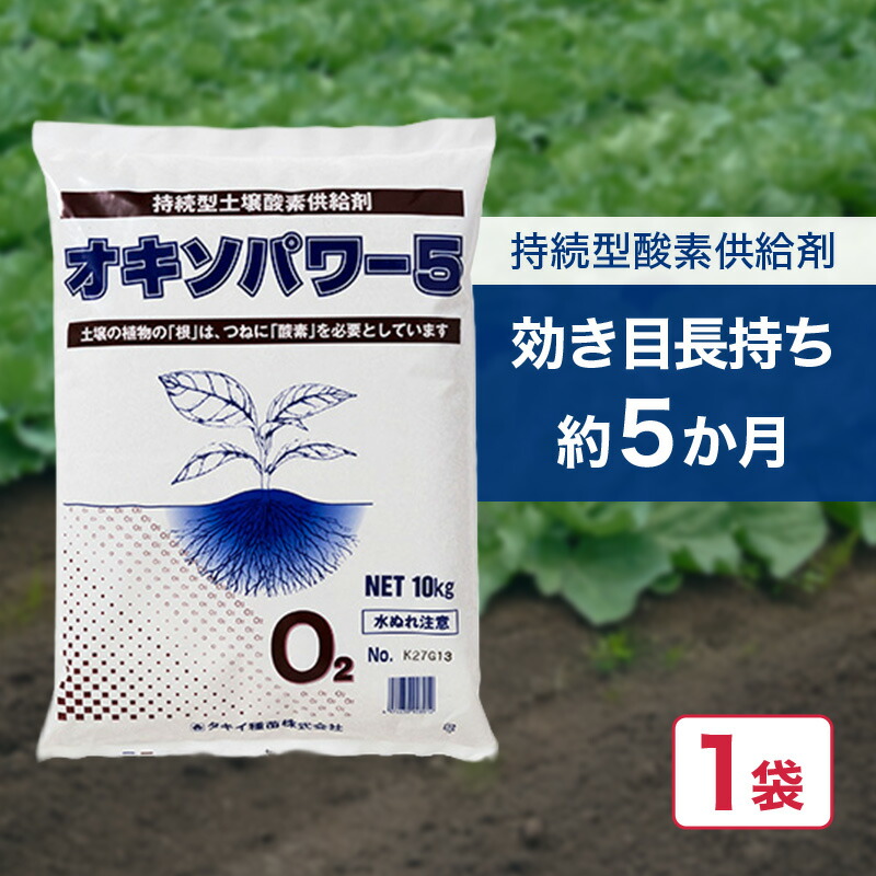 オキソパワー5 Oふり出し剤 10kg 国産 発根推しすすめる 根張り 肥やし 吸いあげる率 盛りかえす 利き目 持ちこたえる Oふり出し 雨季 颱風 どしゃ降り 打つ手 タキイ種苗 人間宅送りとどける不可 代引不可