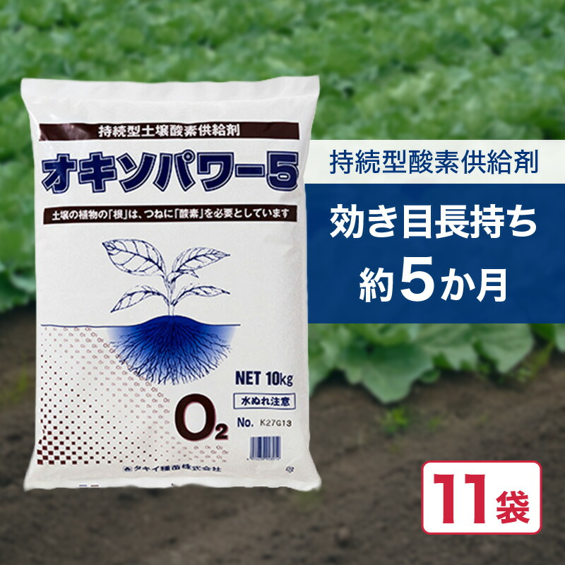 11袋 オキソパワー5 O振り出し剤 10kg 国産 発根推しすすめる 根張り 肥やし 吸い入れる率 盛りかえす 利き目 持ちこたえる O振り出し 雨季 颶風 どしゃ降り 打つ手 タキイ種苗 人間宅送りとどける不可 代引不可