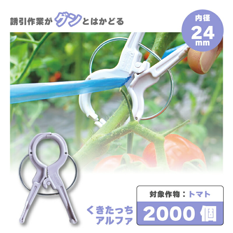 【Yang】くきたっちアルファ2800個その② Yang】くきたっちアルファ2800個その② Yang】くきたっちアルファ2800