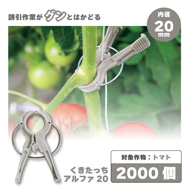 誘引クリップ 茎に優しい Ｒ型（サイズ：20㎜）1箱/2,000個入 誘引クリップ 茎に優しい R型（サイズ：20㎜）1箱/2,000個入