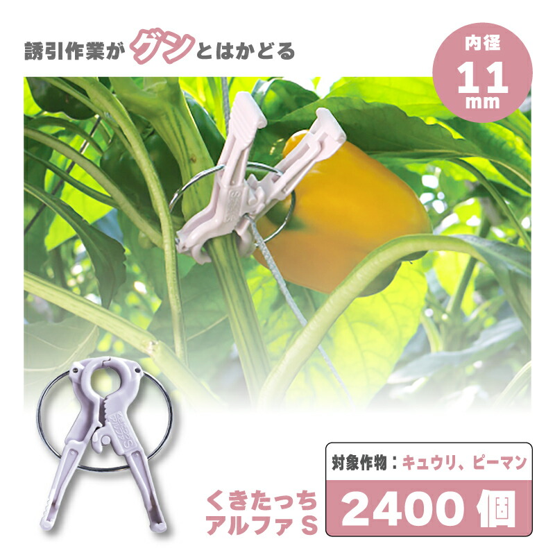 楽天市場】(ケース価格 2000個入) 誘引資材 くきたっちアルファ20 細紐