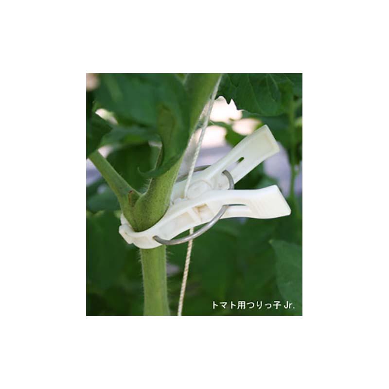 600個 つりっ子jr ナスニックス 茎と誘引紐を固定 栽培 誘引具 サt 代引不可dw Elbevet Com 600個 つりっ子jr ナスニックス 茎と誘引紐を固定 栽培 誘引具 サt 代引不可dw Elbevet Com
