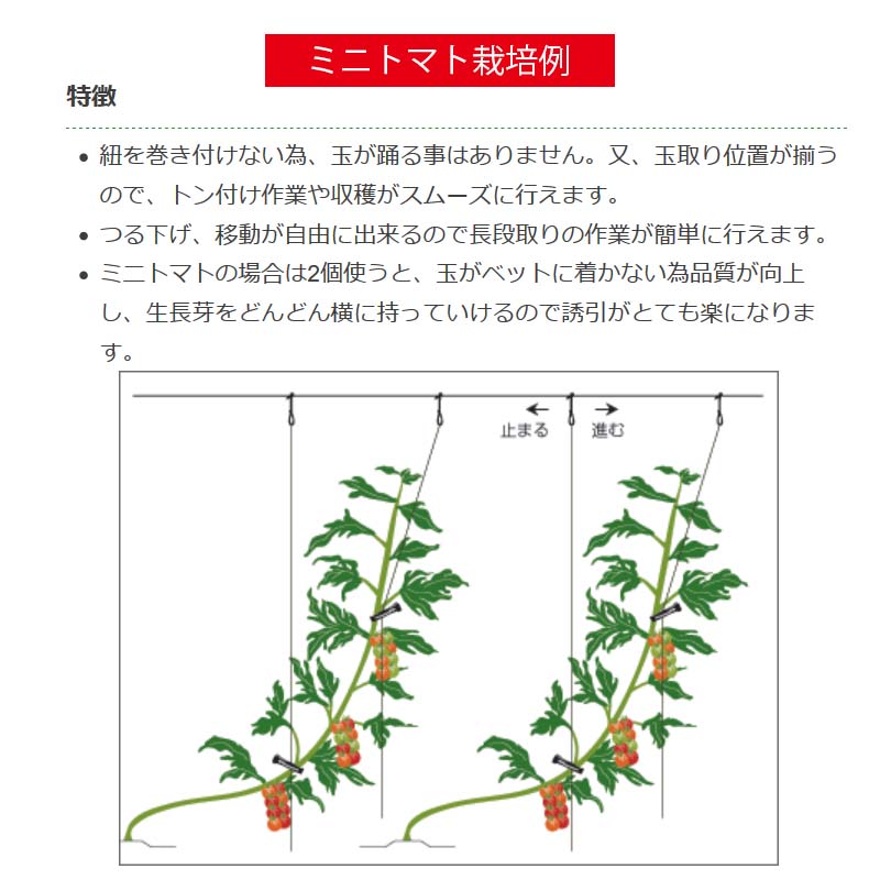 600個 つりっ子赤なす料 ナスニックス もみ殻と誘起吊ひもを引力っ付ける 育生 誘引器具 サt 費用引不可dw Newbyresnursery Com