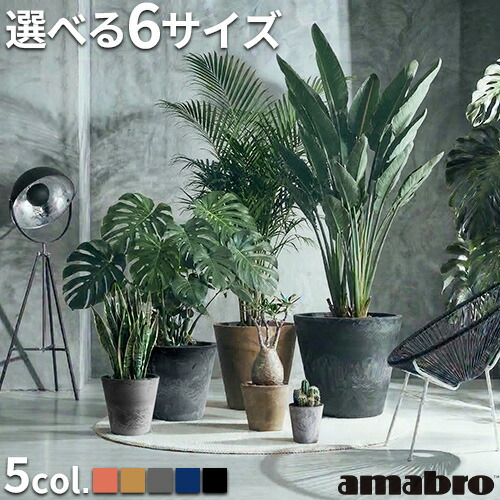 樹種：タモ（柾）粘着テープ付規格：0.5mm厚×20mm巾x10M巻 天然木木口