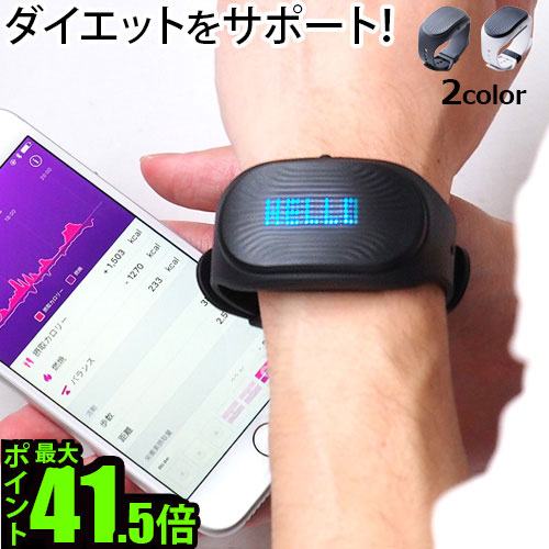 送料無料 リストバンド ウェアラブル ウォッチ 活動量計 正規品 ゴービー HEALBE GoBe2 ダイエット 健康 器具 腕時計 カロリー 防水 おしゃれ 計算機 心拍数 Bluetooth iPhone android 歩数計◇睡眠 水分 ストレス 生活習慣 アプリ 振動 スポーツ