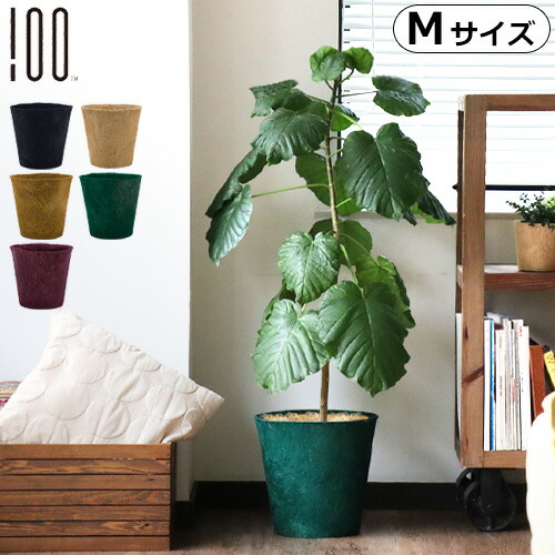 楽天市場 プランターカバー 植木鉢カバー 鉢植え 6号 7号 8号アースポット Earth Pot Mサイズ 単品 あす楽14時まで ココヤシ ヤシガラ 受け皿 受け皿付き おしゃれ おすすめ 室内 インテリア グリーン ガーデニング 新生活 Plywood キッチン インテリア雑貨