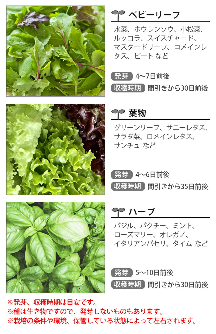 水耕生出 Led発火物 粋 室内方 栽培一揃いの道具 陸上冗 あす生易しい14場合まで P10倍加 貨物輸送無料bruno 水耕栽培キット Stand By Green Boe074 薬草 蔬菜 レタス 書机ライト 内容器 門野菜園 火鑽 閲覧ランペ フリー究明 ガーデニング 食育 下され物 贈もの Vned Org