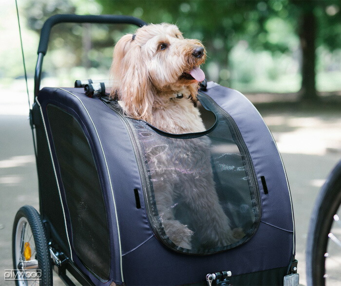 正規品 エアバギー ネストバイク ペット ドッグカートairbuggy Cube Nest Bike あす楽14時まで 送料無料 3輪 可愛い 多頭 中型犬 大型犬 犬用 折りたたみ おしゃれ バギー ペットキャリーペットハウス キャリーケース ドーム型 septicin Com 正規品 エアバギー ネストバイク ペット ドッグカートairbuggy Cube Nest Bike あす楽14時まで 送料無料 3輪 可愛い 多頭 中型犬 大型犬 犬用 折りたたみ おしゃれ バギー ペットキャリーペットハウス キャリーケース ドーム型 septicin Com