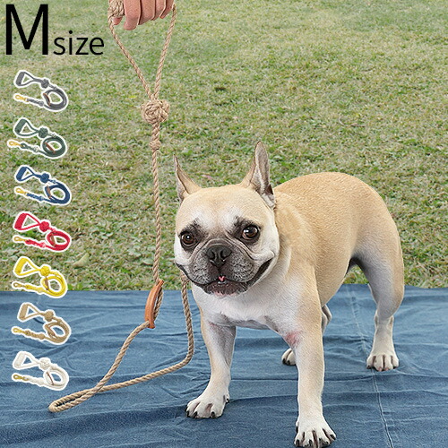 A24 犬用リード　dog leash Logo Leash – A24 Shop