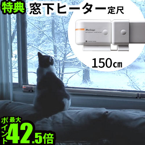 SALE特設会場