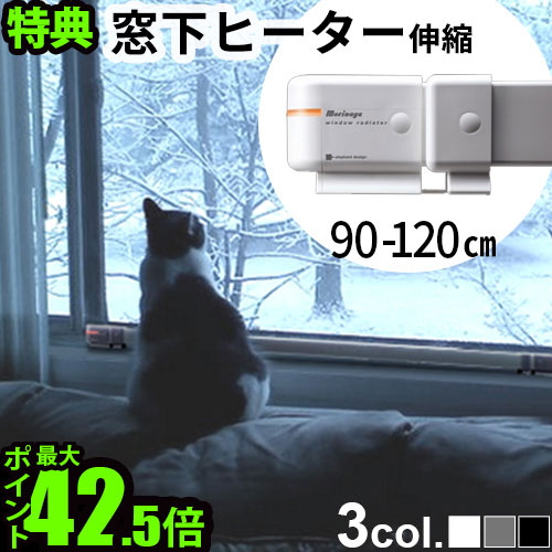 SALE特設会場