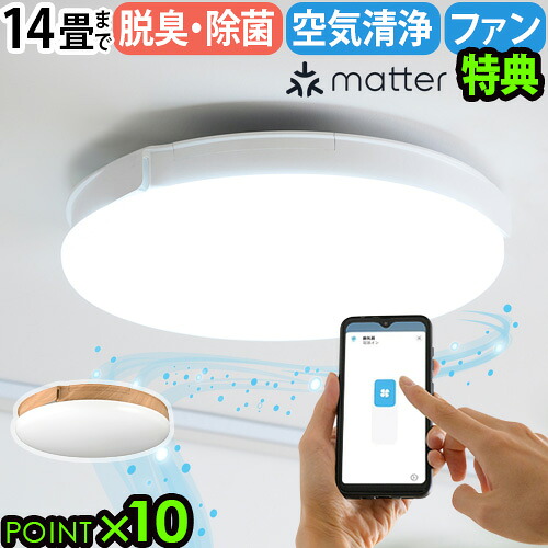 SALE特設会場