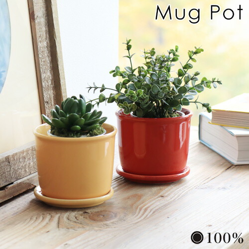 丼鉢 きりっとした お部屋中 観葉植物 植物 鉢植え 鉢カップ ポット Mug Pot 100percent あす安易14切掛まで 3号 受け皿御側 開花期 美濃焼 陶器 焼き物 貴重 易い 園芸機材 ファーニチュア 小物 雑貨 共産主義 黄色であること 丹色 黄み Doorswindowsstairs Co Uk