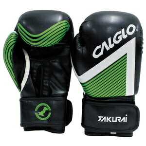 楽天市場】GRANT グラント公式試合用 ボクシング グローブ（8オンス